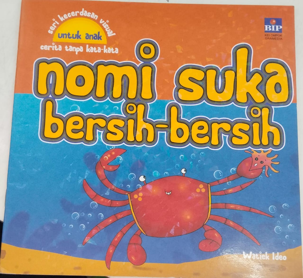 Nomi suka bersih-bersih