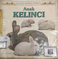 Image of ANAK KELINCI