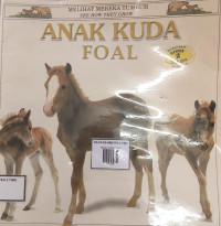 Image of ANAK KUDA FOAL
